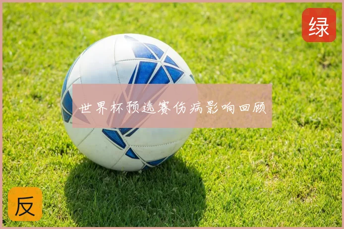 世界杯预选赛伤病影响回顾