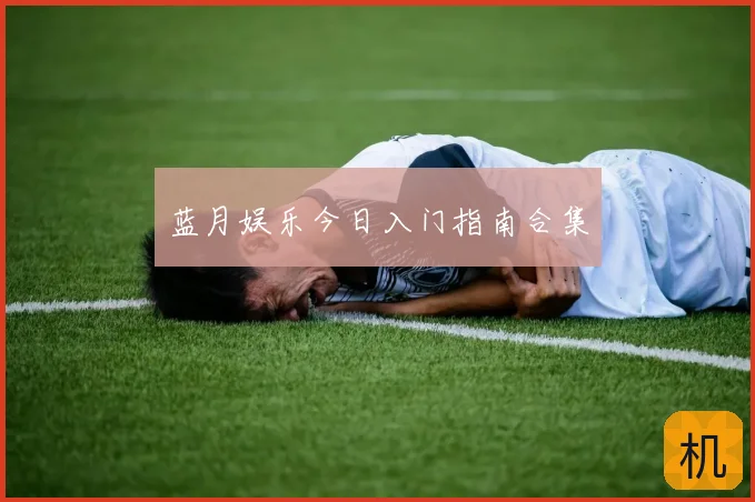 蓝月娱乐今日入门指南合集